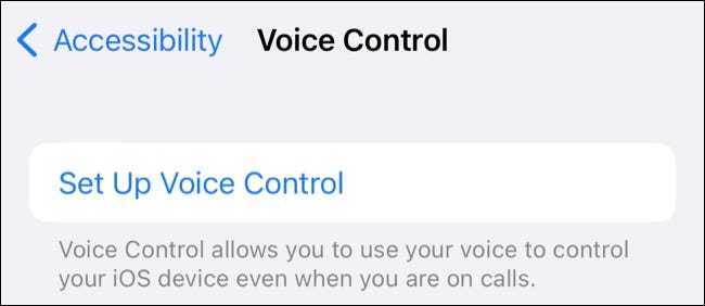 Set up Voice Control on iPhone